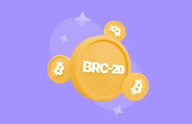 BRC20 Ecosystem Revitalization? A New Dawn or an Illusion