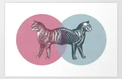 Cryptocurrency's "Schrodinger's Cat," Trump's Cryptocurrency Strategic Reserve Plan