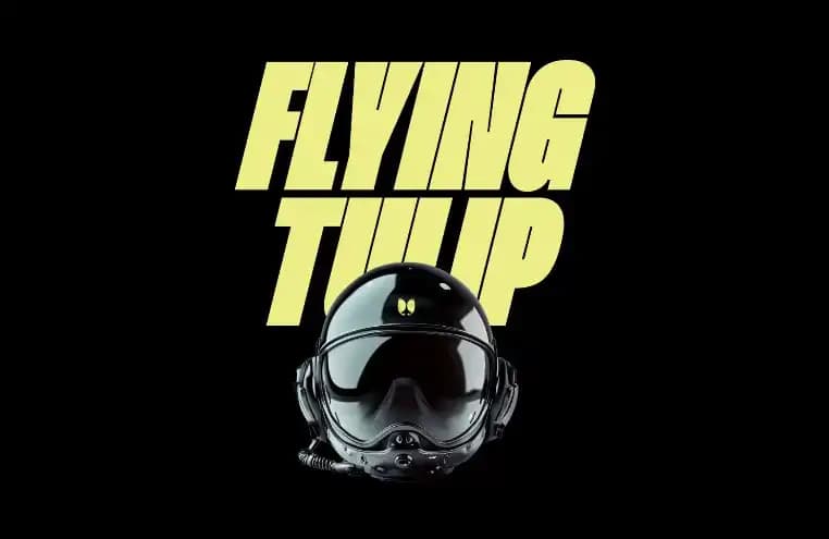 The finishing touch of the Sonic ecosystem, what is the FlyingTulip created by AC?