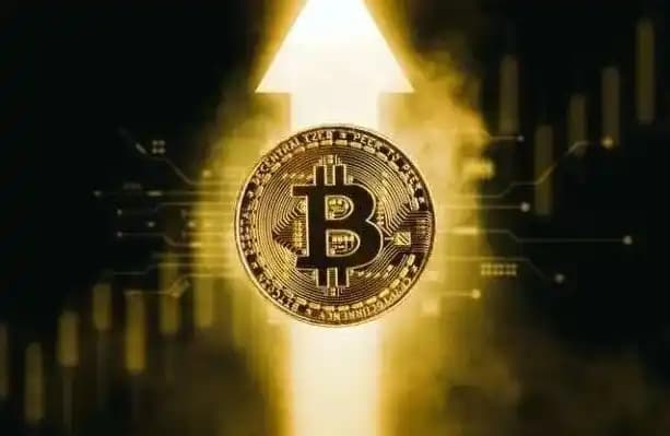Black Friday Massacre on Wall Street, Crypto Market Weekend Plunge, Why Was Q1 2025 So Brutal