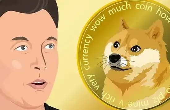 Musk Denies DOGE's Relationship with the US Government, Has Dogecoin Peaked?