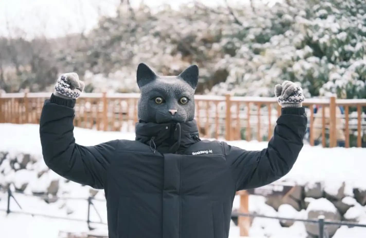 Interview with Cat CEO: I'm in Japan, Selling a House with Cryptocurrency
