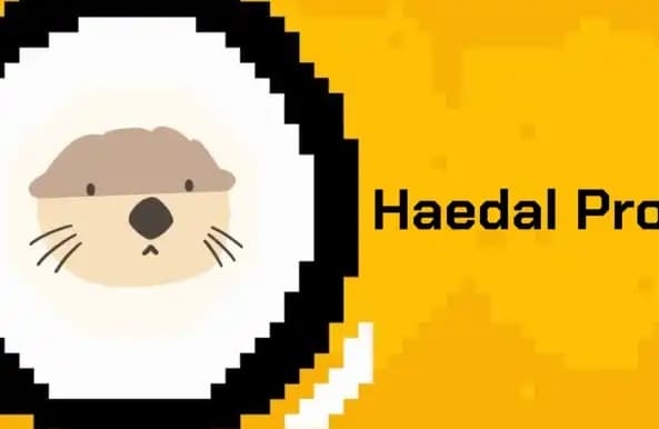 Launch on Binance Alpha, Unpacking the Sui Ecosystem LSD Gem Project Haedal Protocol