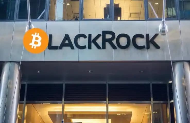 Bitcoin's Biggest Booster, BlackRock's Crypto Ambitions
