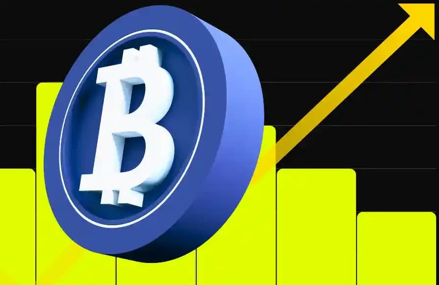 October TGE Craze: A Quick Look at 12 New Coin Projects and Their Backing