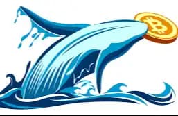 Market "Discount Season": On-chain Data Reveals What Whales Are Quietly Buying?