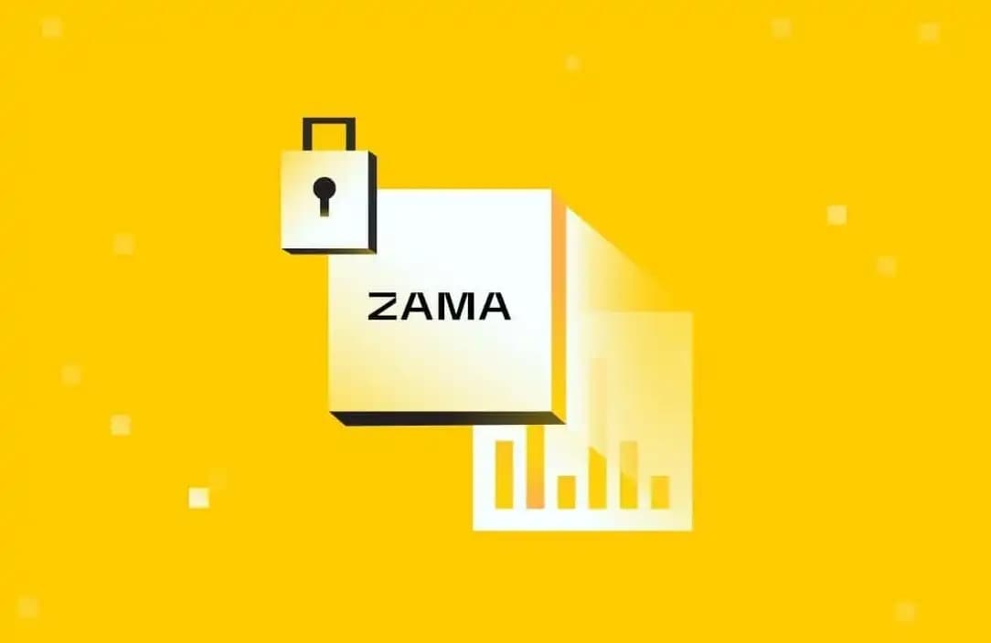 Interpreting the ZAMA Dutch Auction: How to Seize the Final Interaction Opportunity?