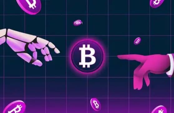 Venture Capital Post-Mortem 2025: Hashrate is King, Narrative is Dead