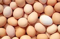A Century of an Egg's Wandering, from Wall Street to Polymarket
