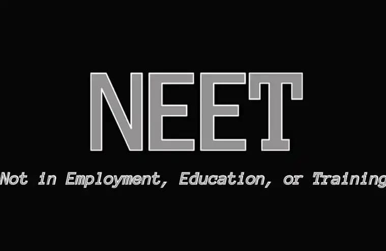NEET Reaches New High, Another Cultural Phenomenon of AI Meme