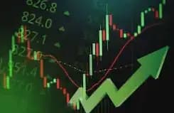 The US Stock Market Will Not Fall Again? The "Everything Rally" Trap in the Age of High Debt
