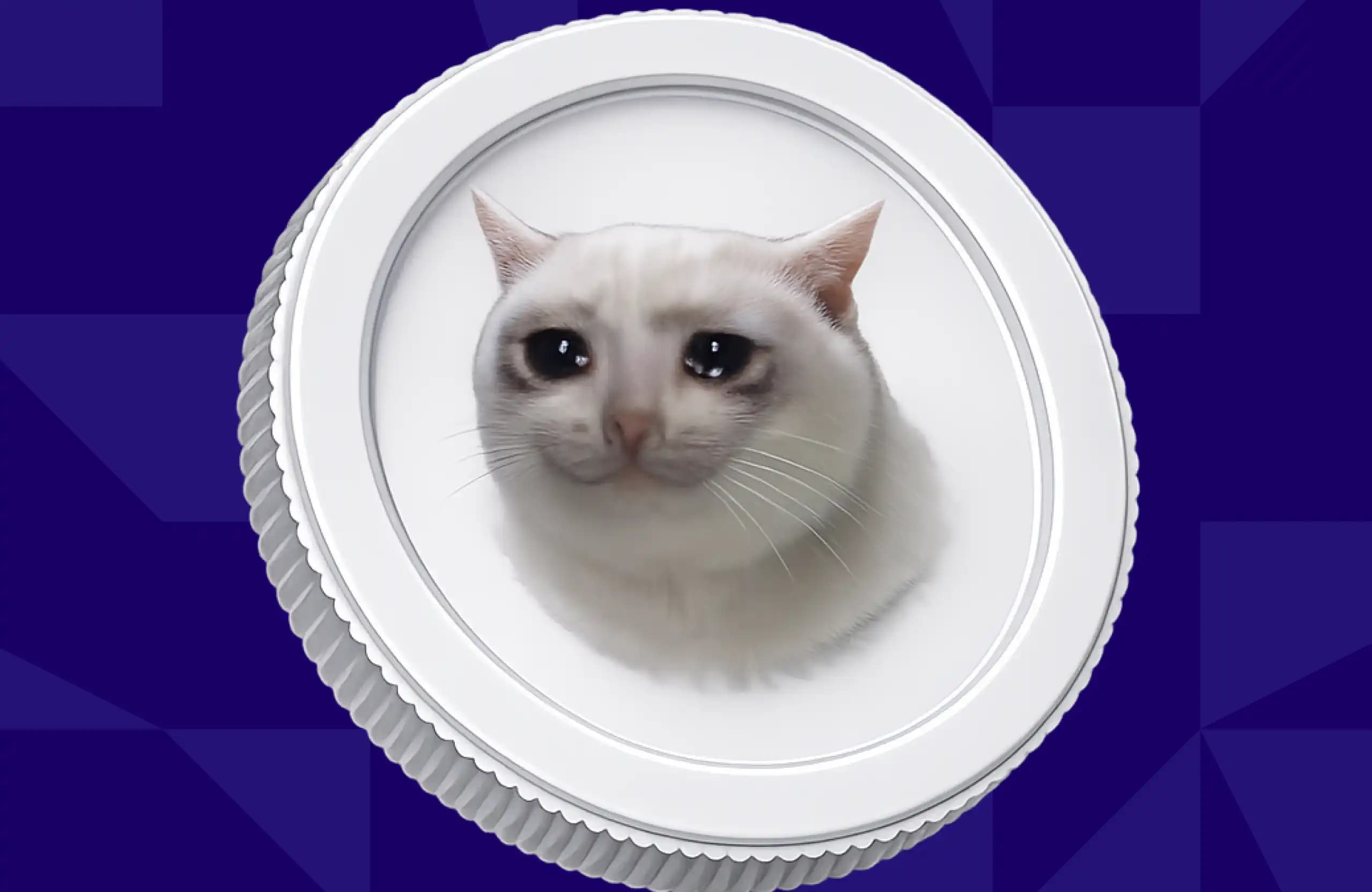 The Significance of CASHCAT on Bitstamp and the Mess-Up of Rugging