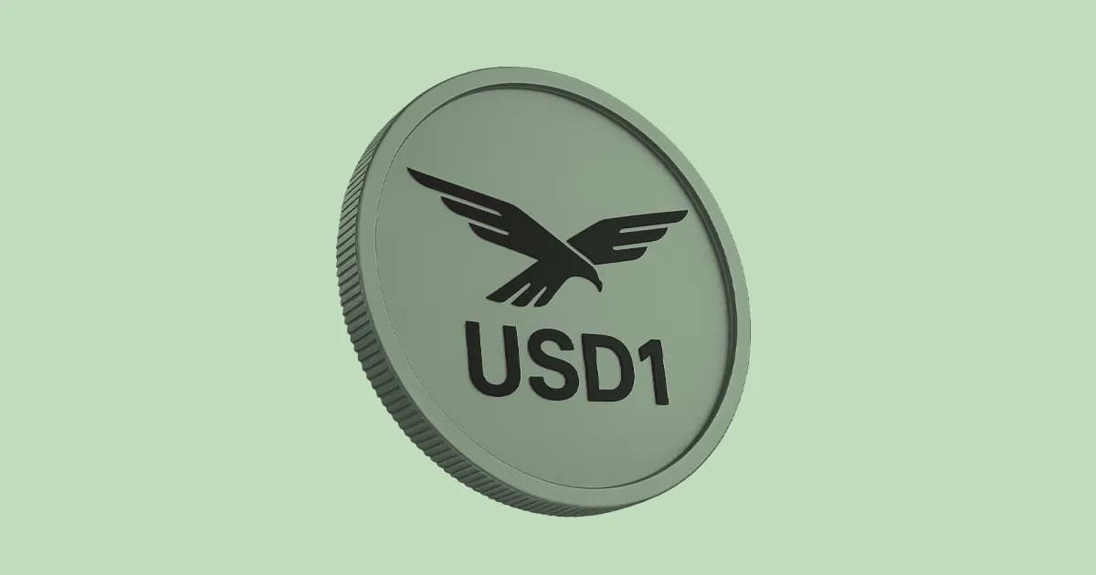 当 AI 学会自己花钱，USD1 已经站在下半场