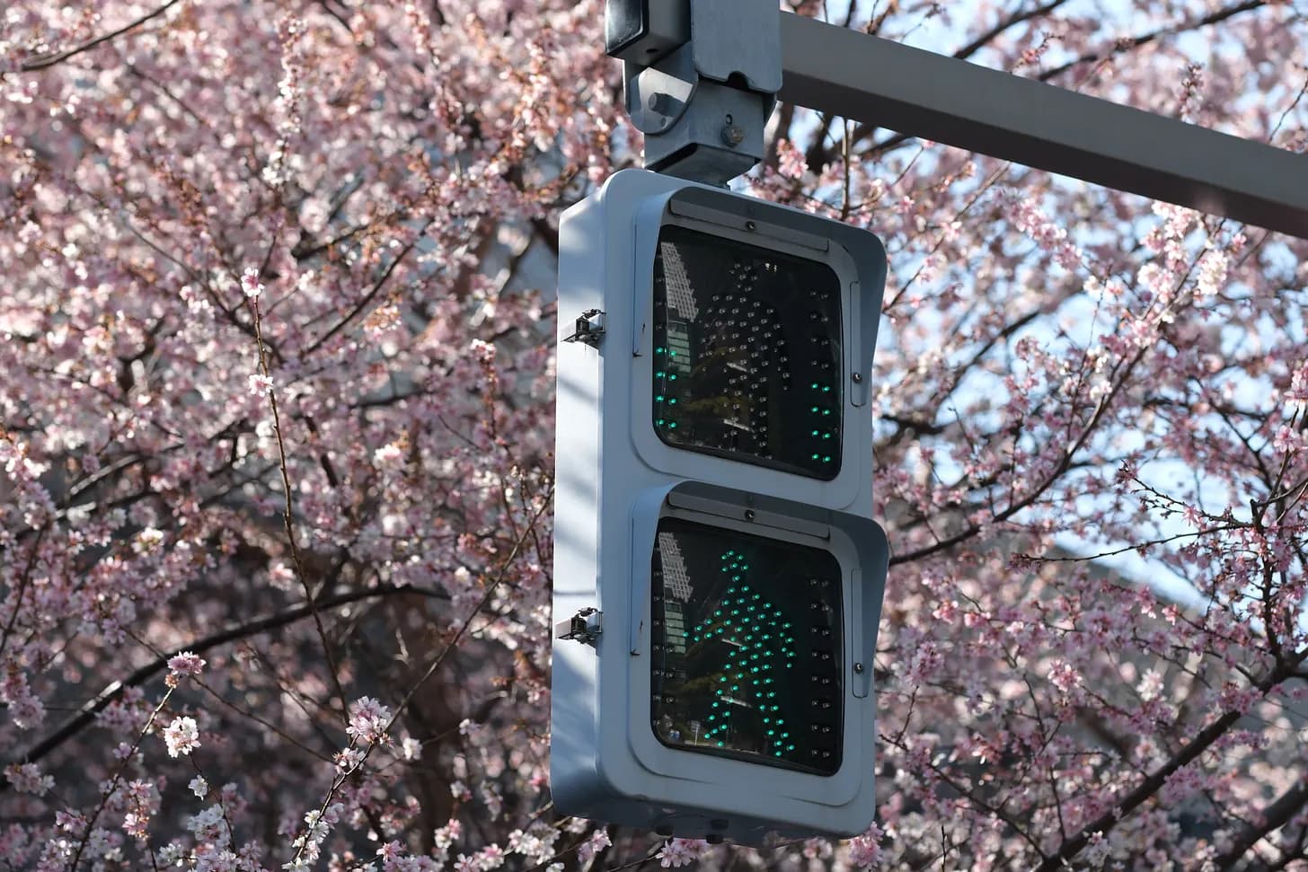 观点：股市 AI 泡沫已至，我为什么转头押注比特币？