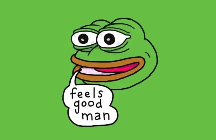 Rooting in the Source: Don't Confuse Memecoin with Shitcoin