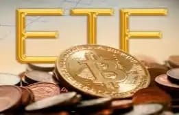Crypto ETF Welcomes Institutional Onslaught, with 15 Institutions Holding Nearly $14 Billion in Assets