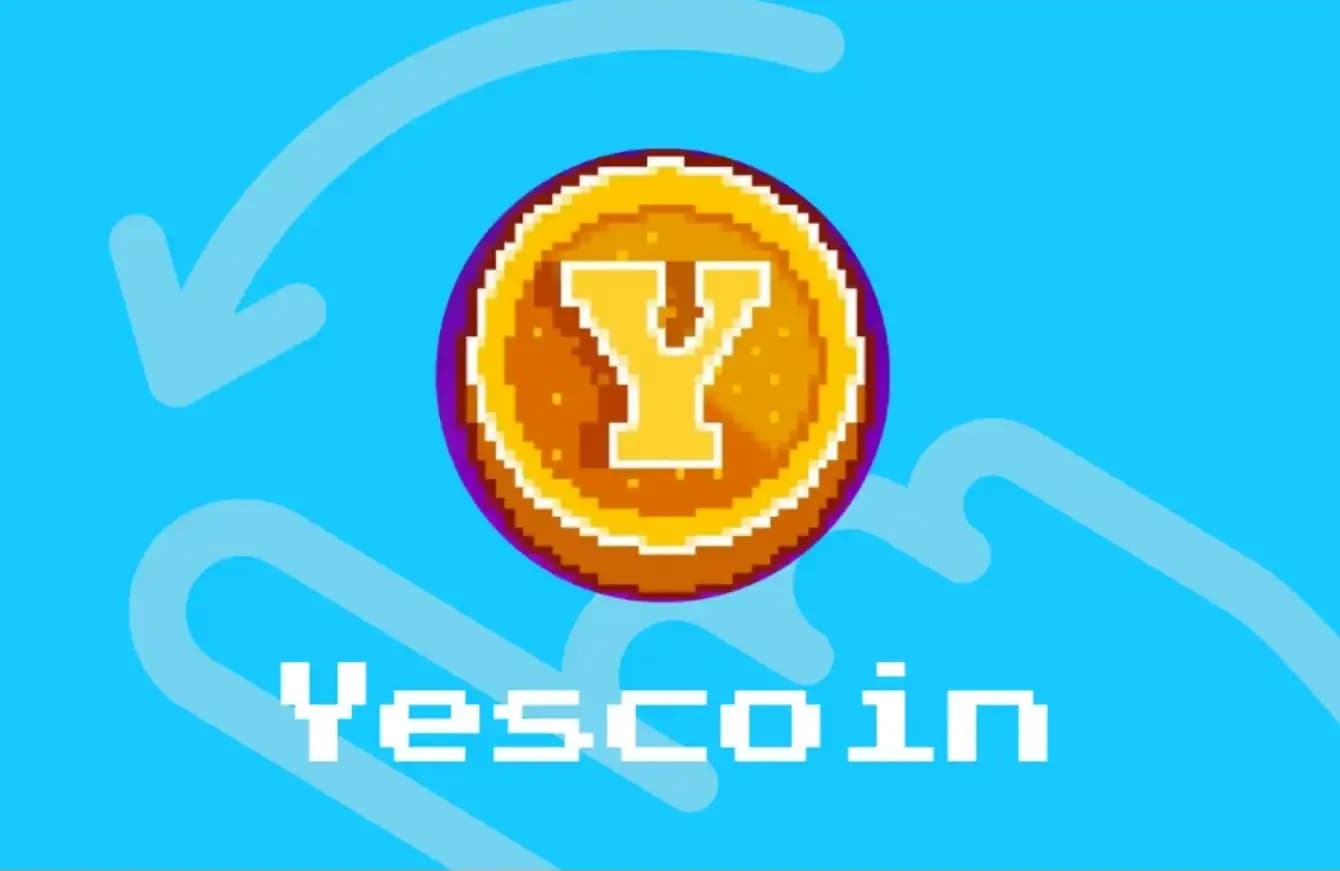 Yescoin Fork, Dialogues of Two Camps, Who is Who?