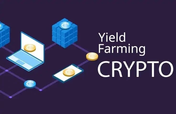 How to Earn Handsome Rewards in HypeVM Mining?