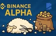 150 Days In, What Has Binance Alpha Changed?