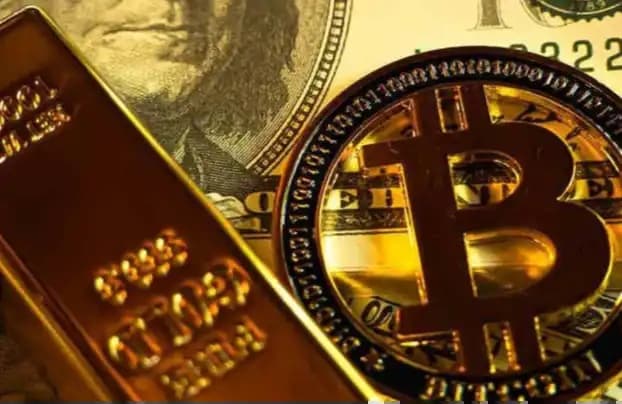 Bitwise Chief Investment Officer: Why Has Gold Outperformed Bitcoin by So Much?