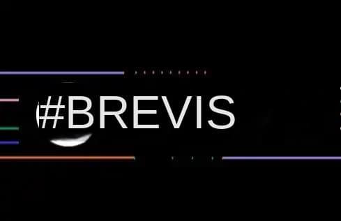 Brevis: Unlocking the Blockchain Infinite Compute Era