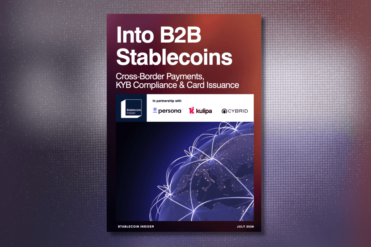 New we Report: 'Into B2B Stablecoins'