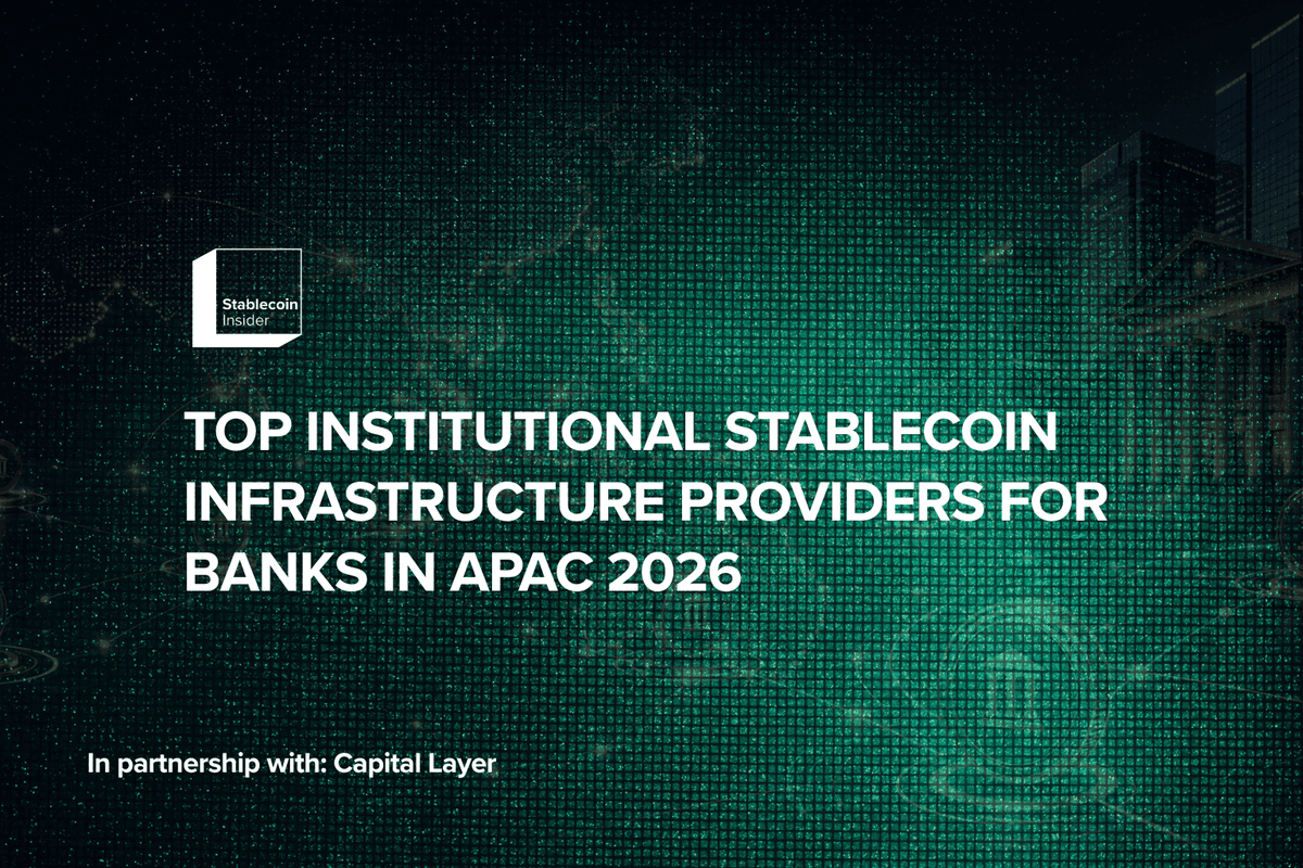 Best Stablecoin Infrastructure Providers 2026